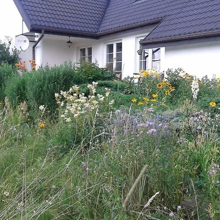 Bizon Pension Sadowne Buitenkant foto