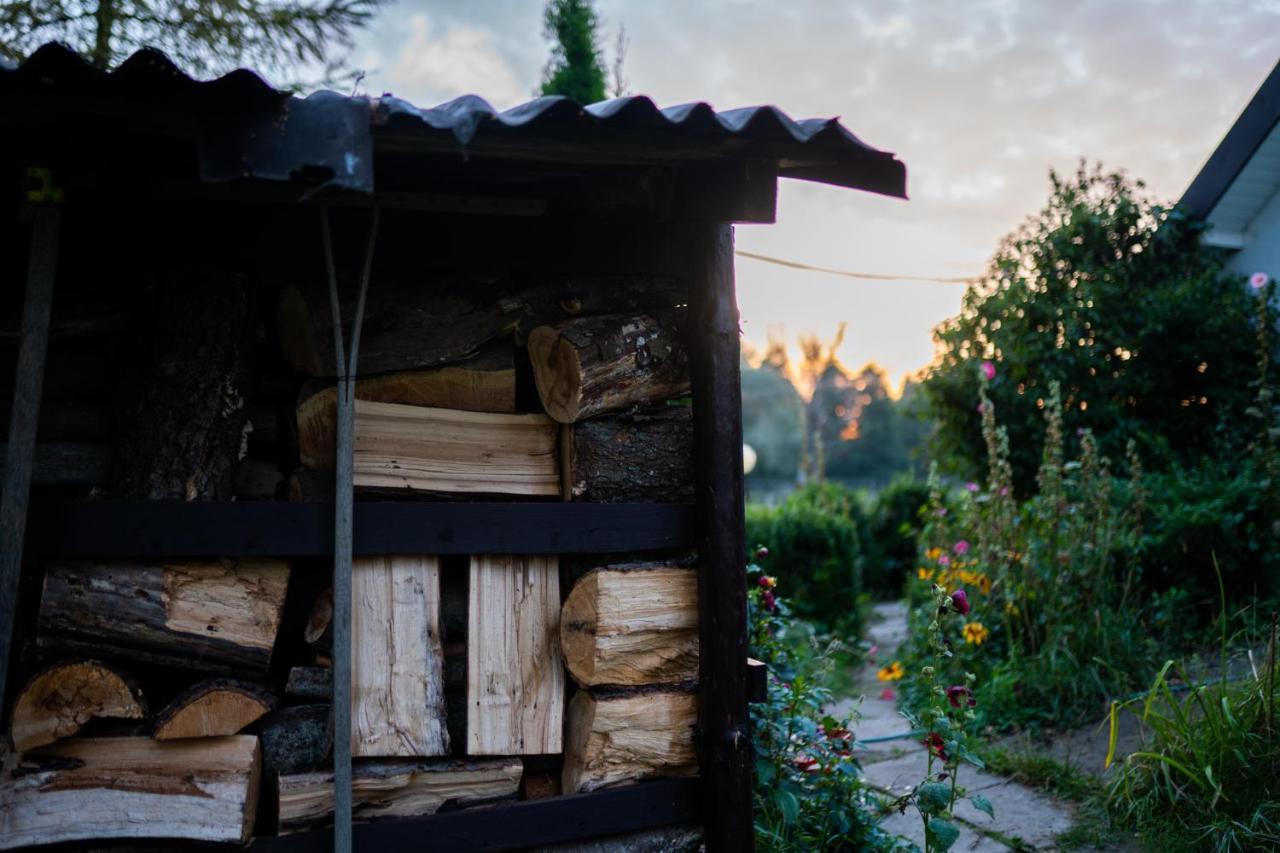 Bizon Pension Sadowne Buitenkant foto