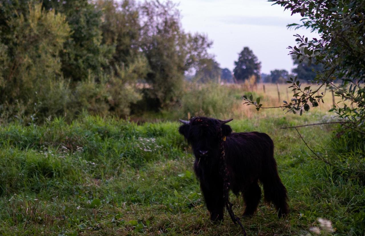 Bizon Pension Sadowne Buitenkant foto