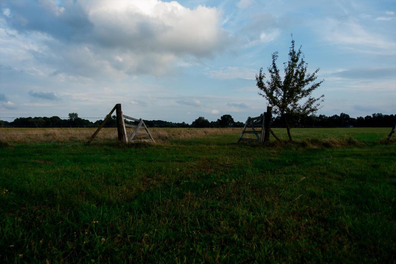 Bizon Pension Sadowne Buitenkant foto