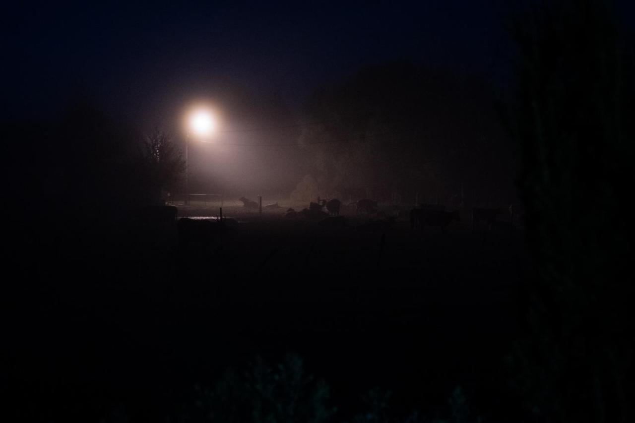 Bizon Pension Sadowne Buitenkant foto