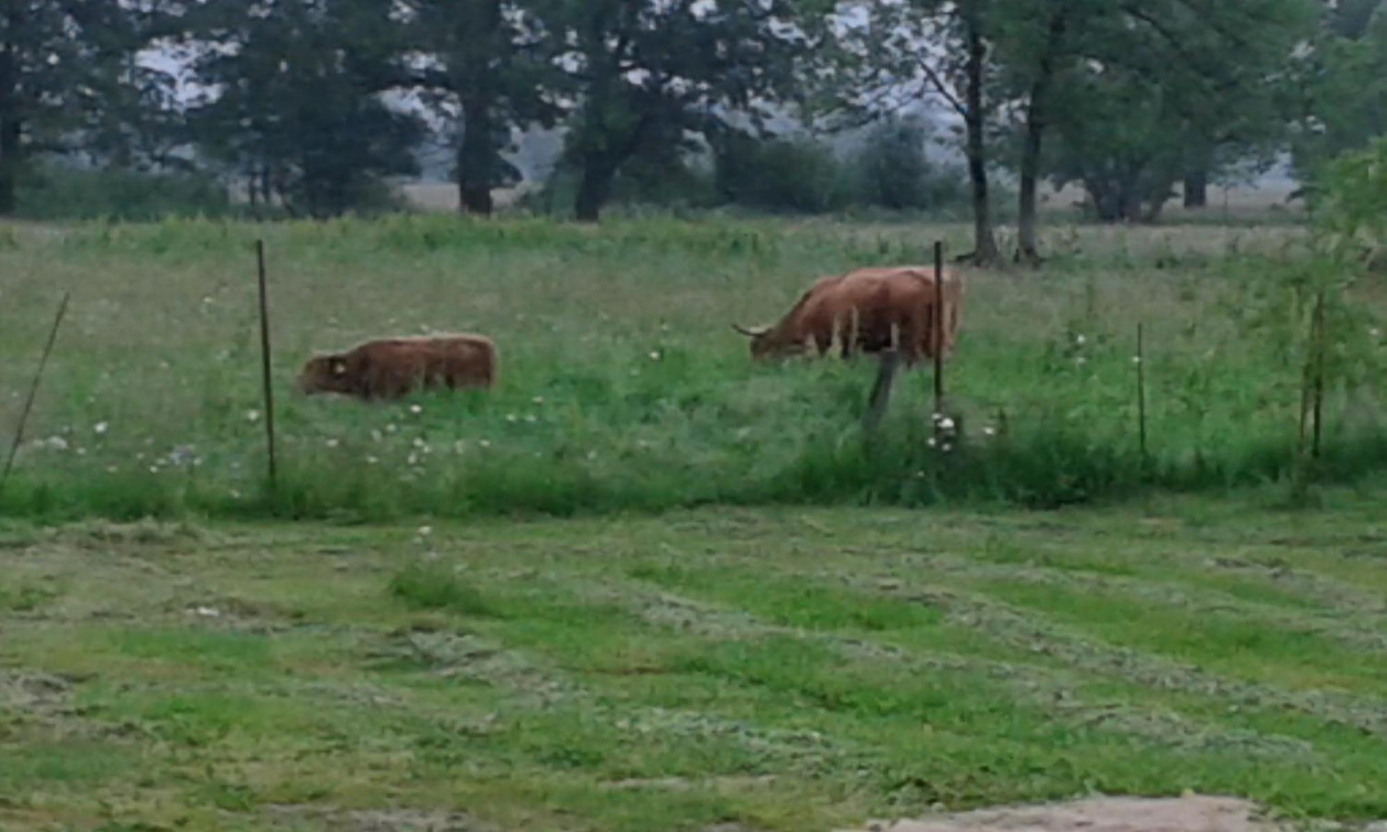 Bizon Pension Sadowne Buitenkant foto