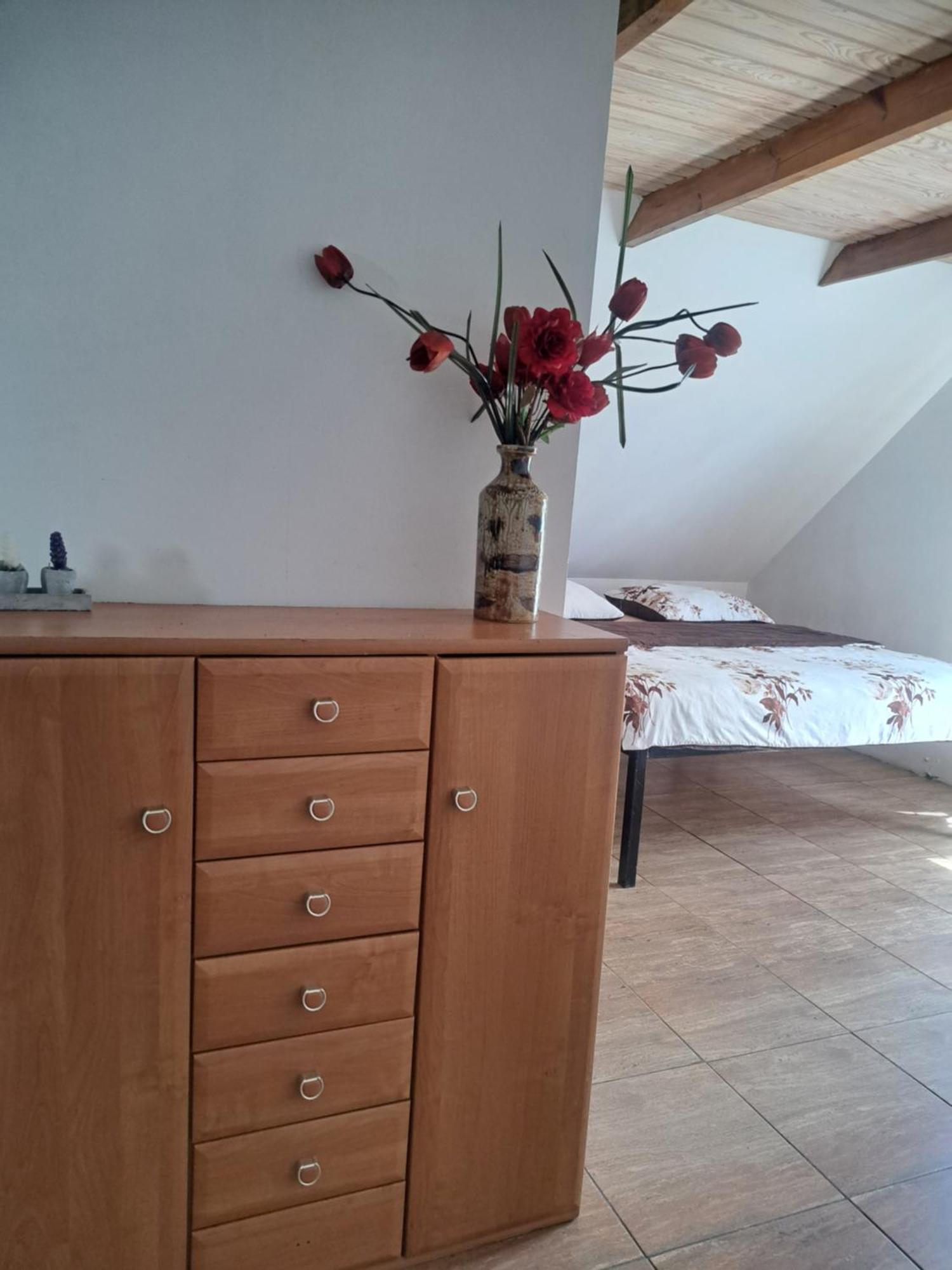 Bizon Pension Sadowne Buitenkant foto