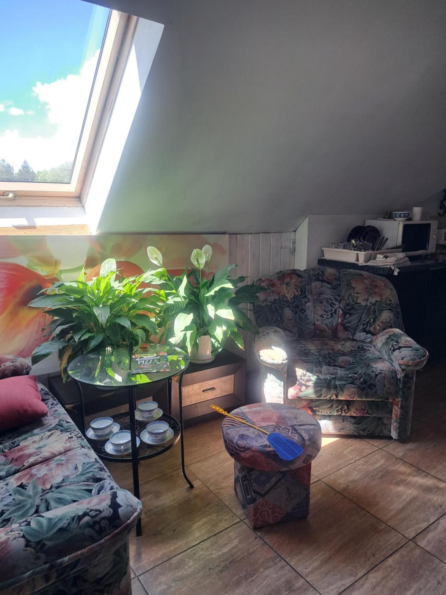 Bizon Pension Sadowne Buitenkant foto