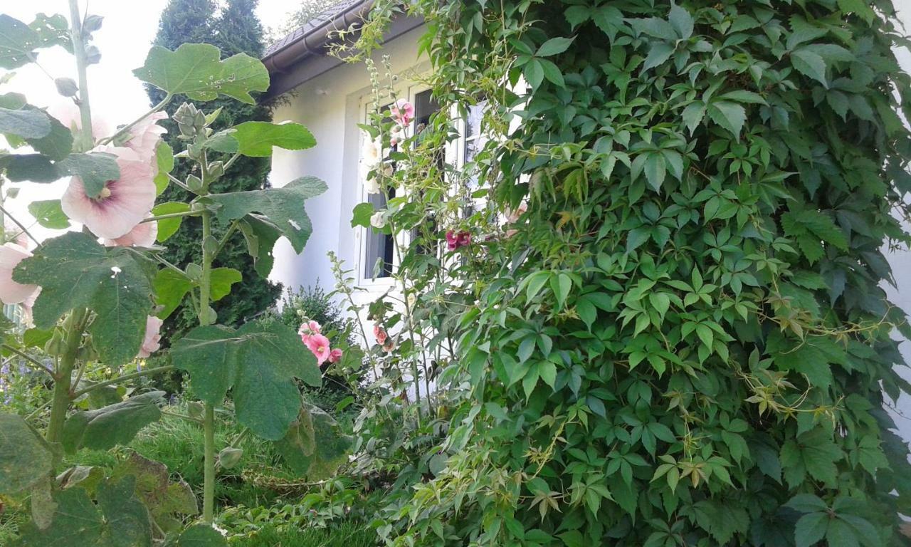 Bizon Pension Sadowne Buitenkant foto