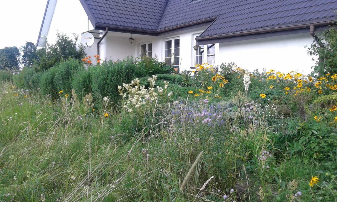 Bizon Pension Sadowne Buitenkant foto